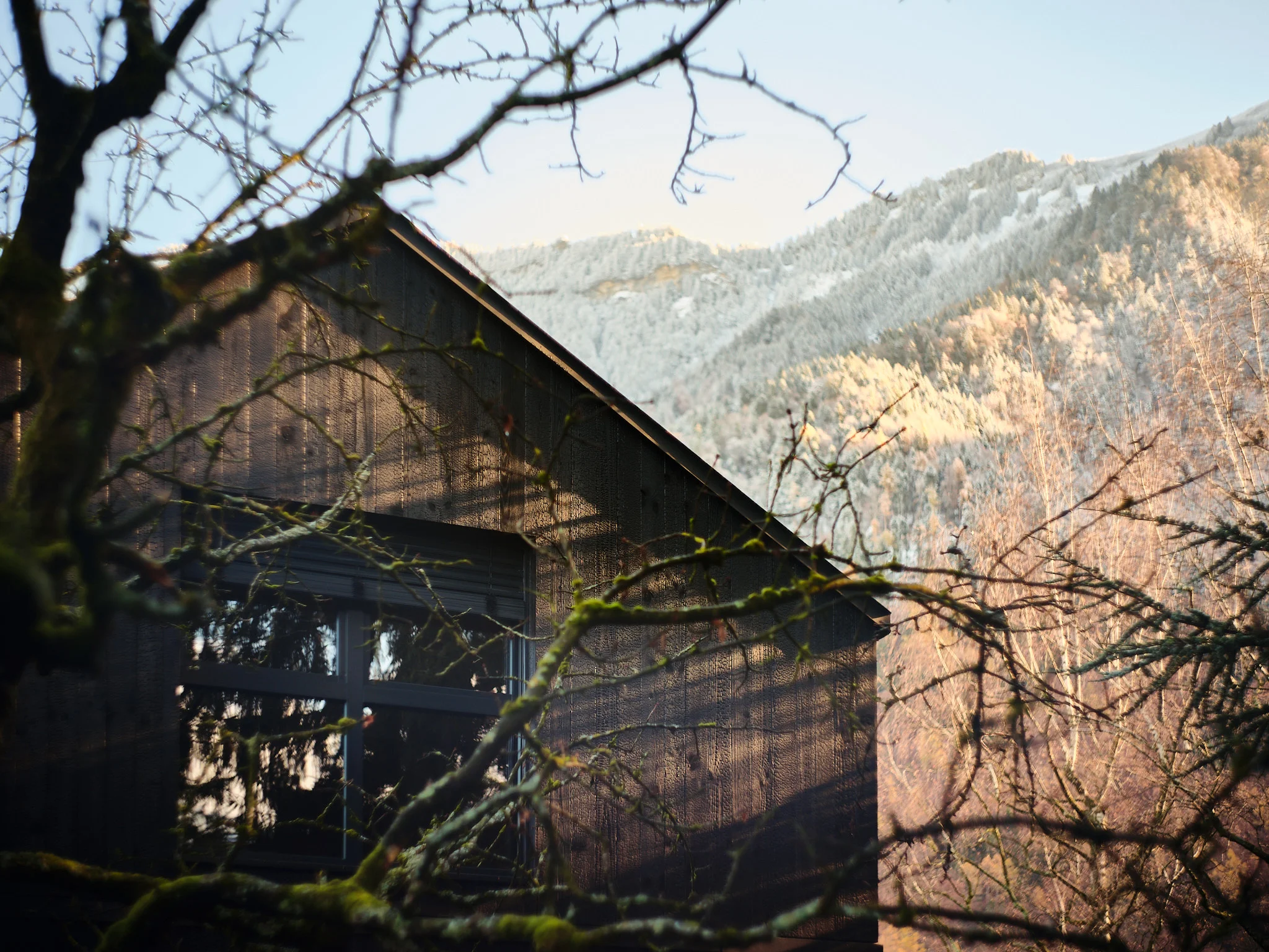 Photo Surélévation villa RBR, Surélévation d&#039;une villa des années 50 avec une façade en bois brûlé sugi bahn.